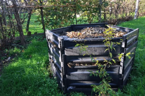 Construindo um Sistema de Compostagem Organizado e Eficiente