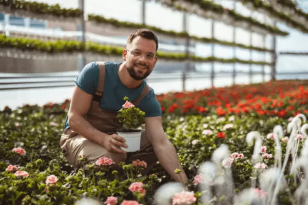 Como Criar um Cronograma de Manutenção para seu Jardim Organizado